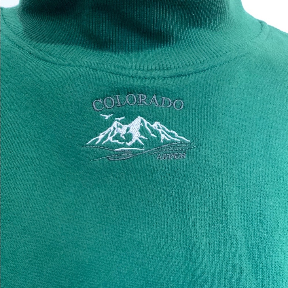 Wild Fable Green Turtleneck Sweater with colorado Design